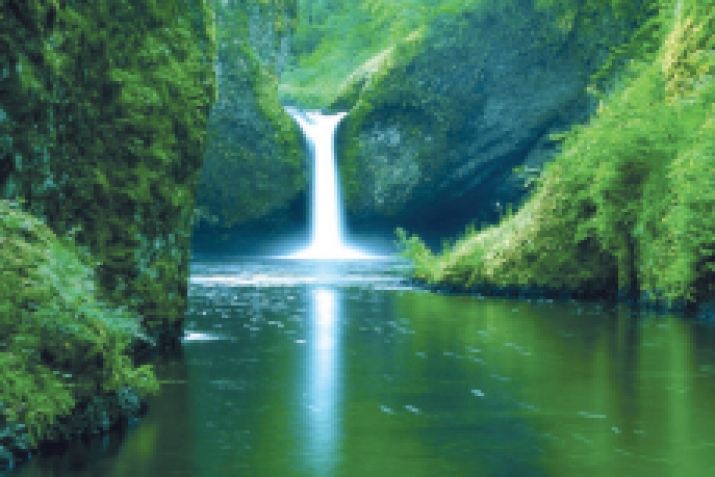 The Koran concerning the earth and environment