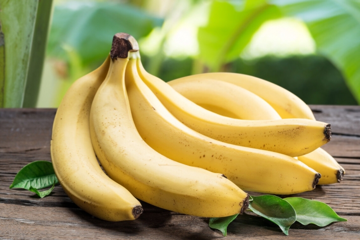 Пайдалати насихIятуни