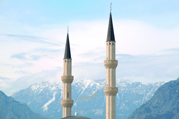 Бусурманчунал инт