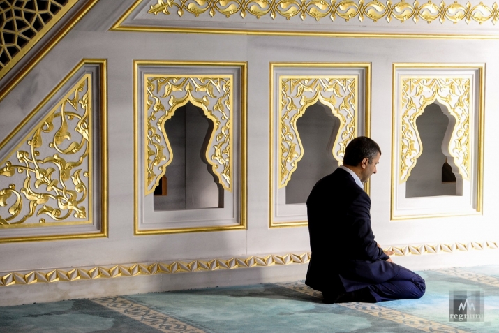 Чак байсса куц