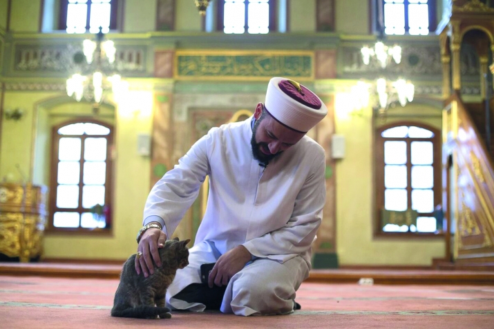 Күркәм холоҡ