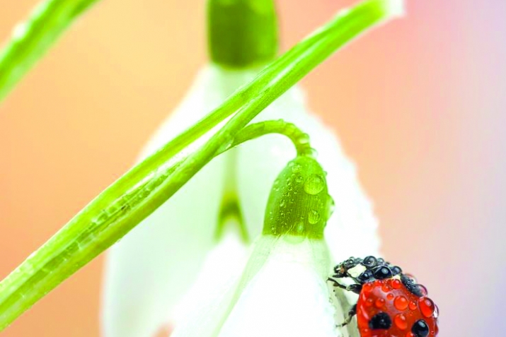 Күркәм холоҡ тураһында изгеләр һүҙе