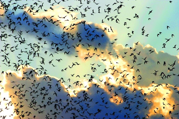 Ҡиәмәт көнөнөң ҙур билгеләре