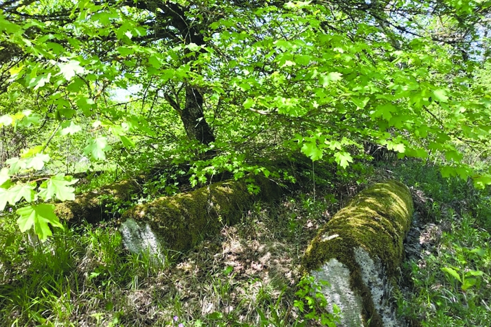 Himеydi kәndinin yаrаnmа tаriхi