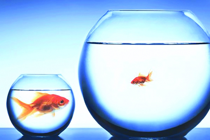 Nəfs və onun insanda olan mənəvi-əxlaqi keyfiyyətlərlə bağliliği