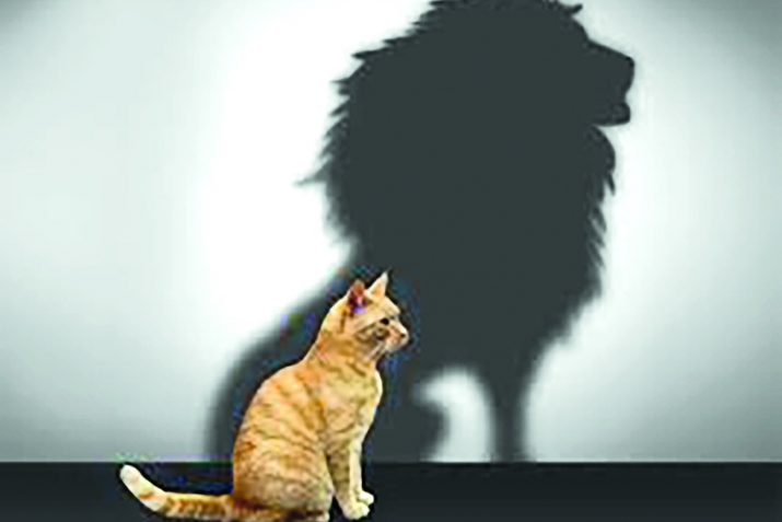 Bəyənilməyən xüsusiyyətlər