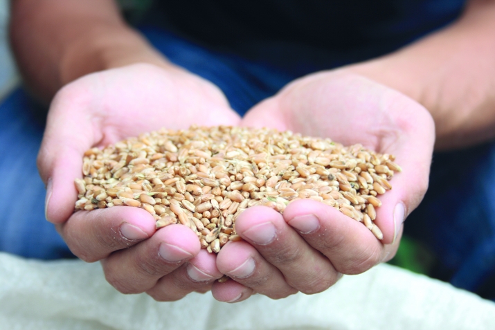 Дуббуцарла сяхI