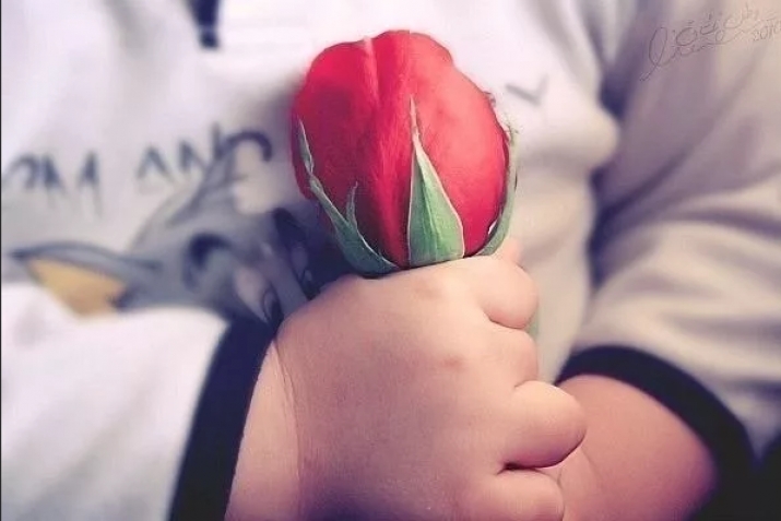 Пайгъамбар  ва аялар