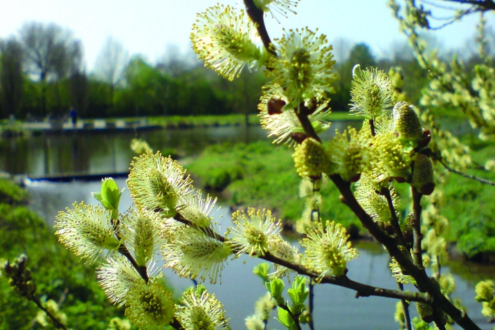 Мосолмандың донъялағы мөхәббәткә ҡарашы