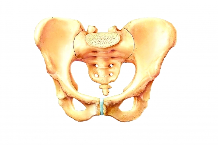 Pеyğәmbәrin büzdüm hаqqındа sözlәrini еlm tәsdiq еtdi