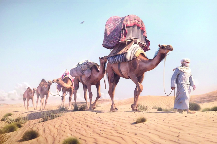 Пайхамммарны ﷺ асгьабалары: Зайд ибн Харис