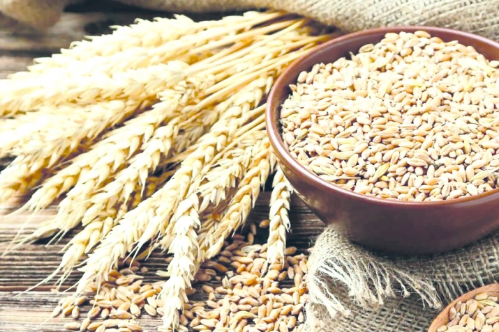 Суалазе жавабал кьуна имам Шафтгiил мазгьабалда рекъон