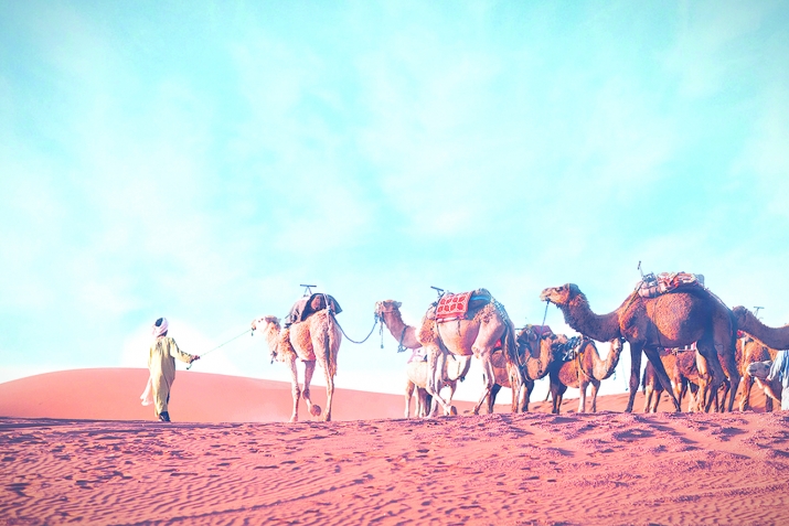 CягIид бин Мусайиб (14-94)