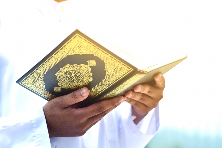 Иманалдаса бутIа...