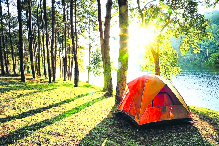 ЦIалдолезул пикраби