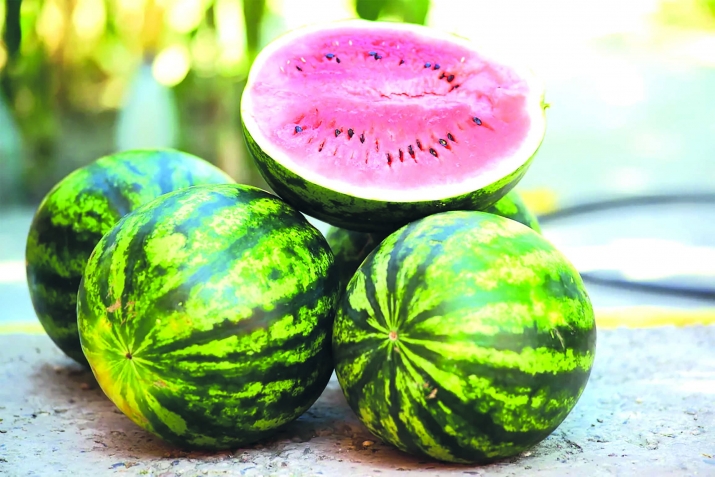 Риидалил нигIмат – хъарпуз