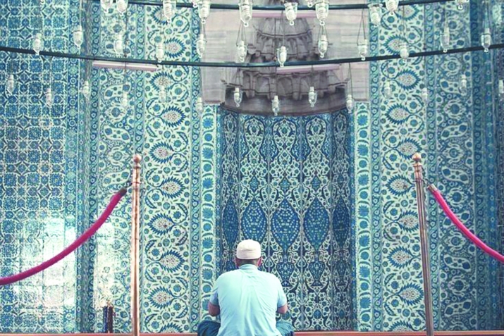 Мизитрал адабру