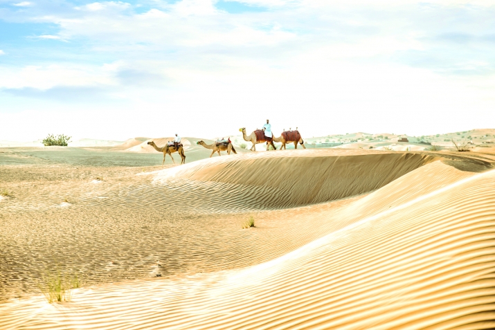 Пайхаммарны ﷺ асгьабалары: Абдулла ибну Аббас