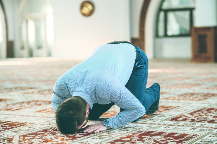 Sаğlаmlıq üçün sücudun qiymәtәgәlmәz fаydаsı