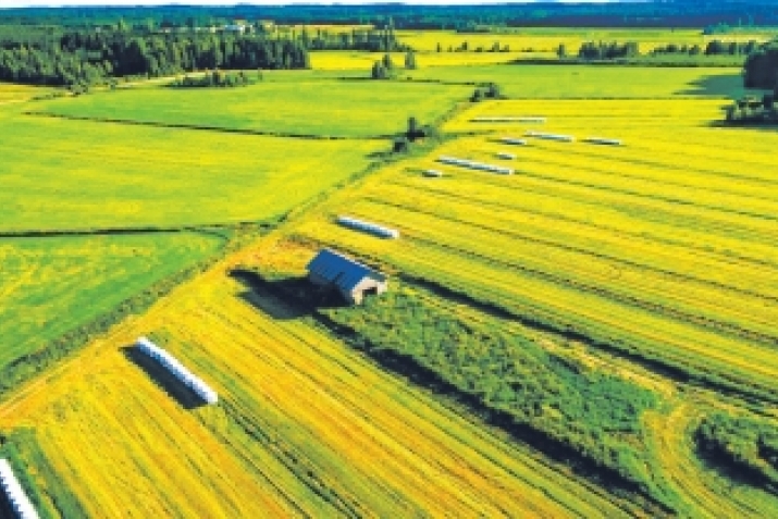 Баракат гьаз адар?