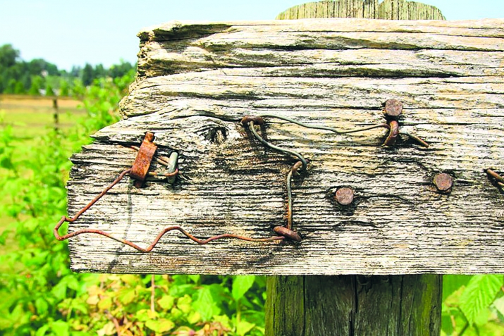 ТIарвал алатда, амма хирер амукьда