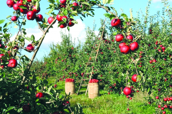 Дуьньядикай ва инсаниятдикай веревирд