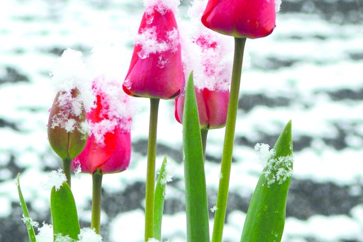 Сабырлыҡ һәм батырлыҡ өлгөһө