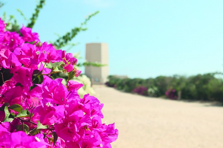 Үммү Рүмән бинт Әмир