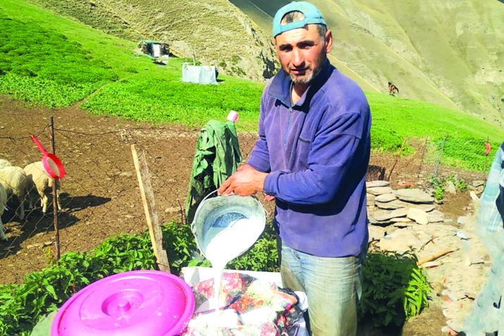 Къо бихьун гьабуралда гурищ баракатги букIунеб