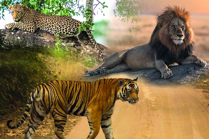 МицIираг диннизир