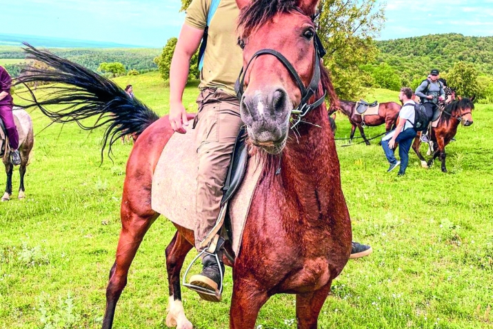 Роберт Дәүләтшиндан 19 кәңәш