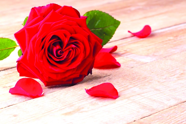 Онлар бизим бошанмамызда ҝүнаһкар дејилләр!