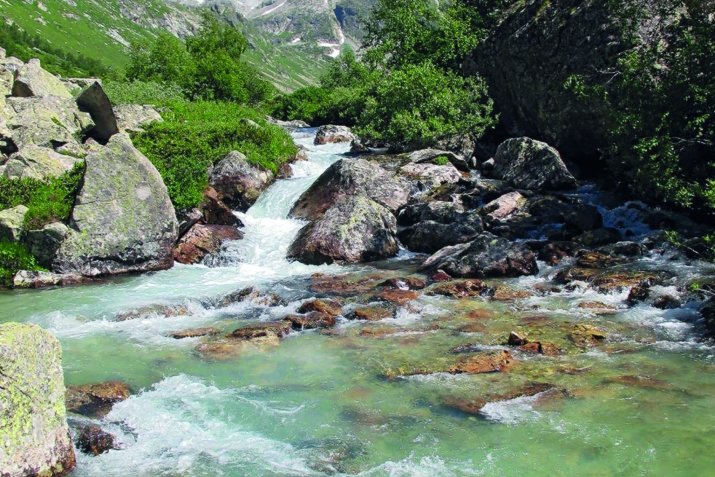 МарцIшиву дувайсса куц