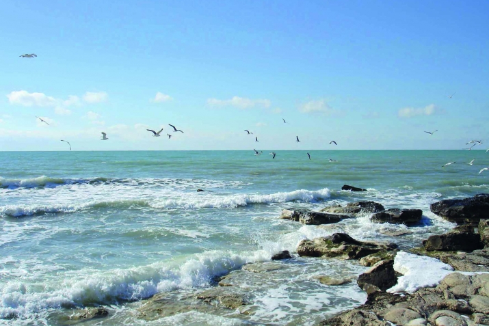 Ажайиб алемда