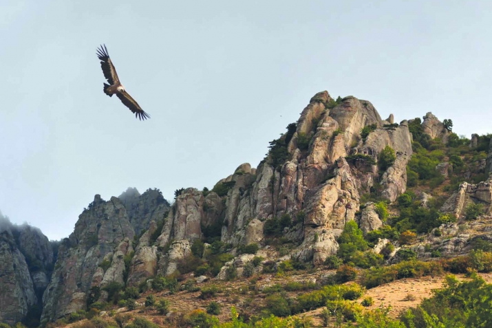 Аллагьдиз аси тахьун патал