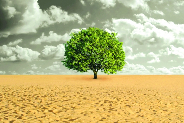 Уздансса тIул-тIабиаьт