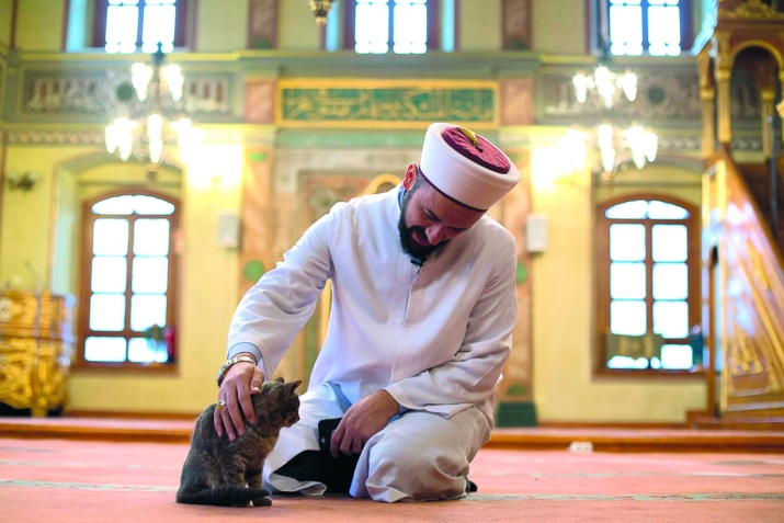 Әхлаклы булуның мисаллары