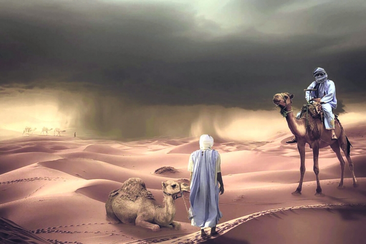 Пайхаммарны ﷺ асгьабалары: Абу ад-Дарда