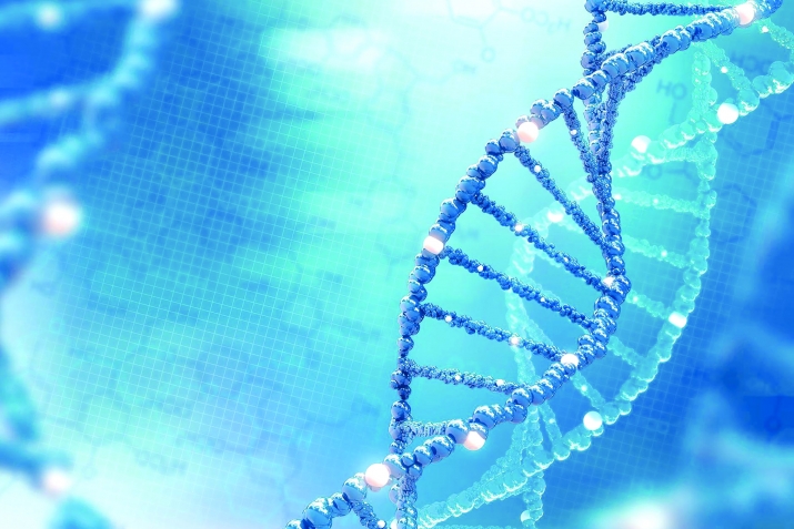 РитIухълъи чIезабуна