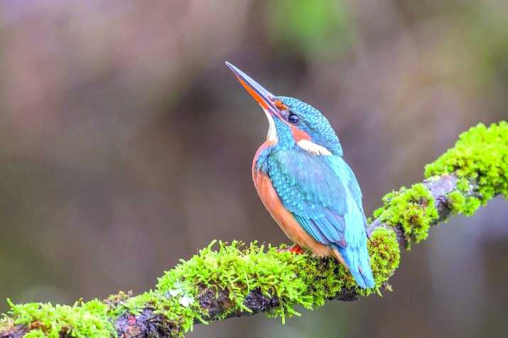 Вун ахьтинди яз ни халкь авуна?