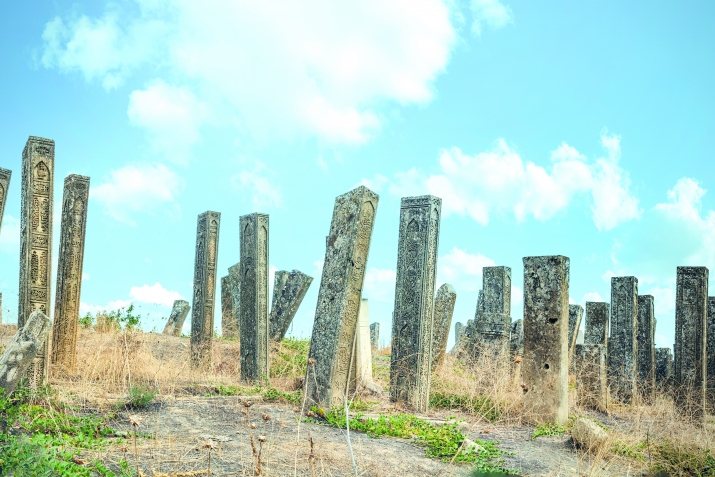 Алжан яги жужахI