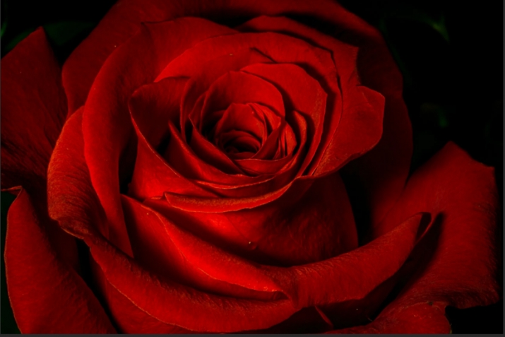 Advice of the Prophet Muhammad ﷺ