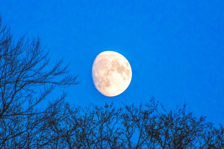 Ушвар дисбан гьякьнаан