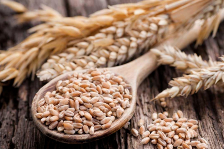 Закат-уль-ФитIр