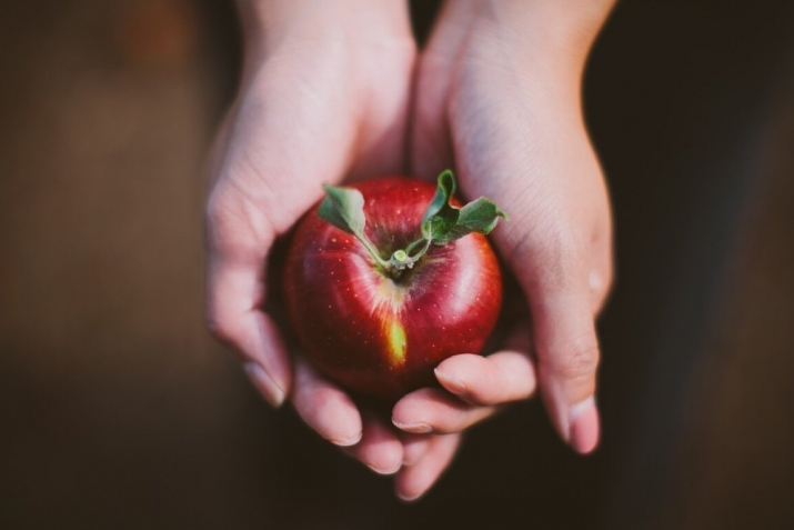 Virtues of the righteous