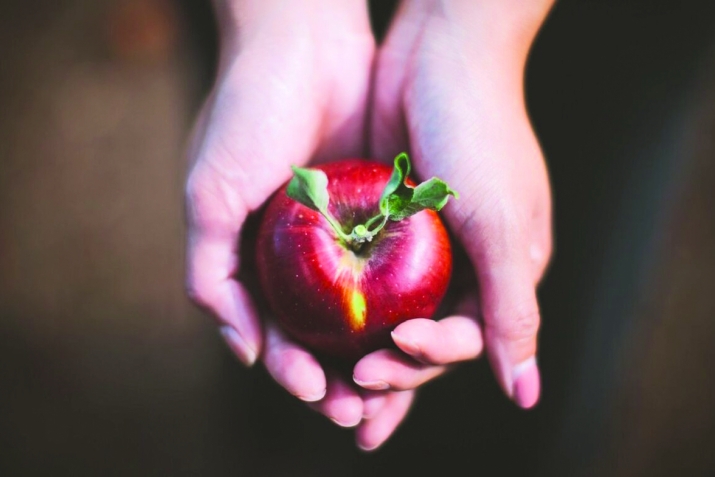 ДИН ВА ИНСАН