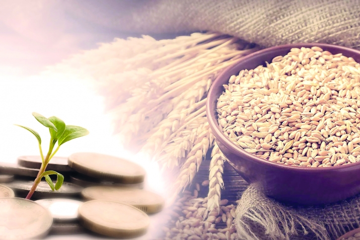 Суалазе жавабал кьуна имам ШафигIил мазгьабалда рекъо