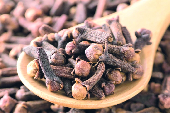 Михакрангсса дарман