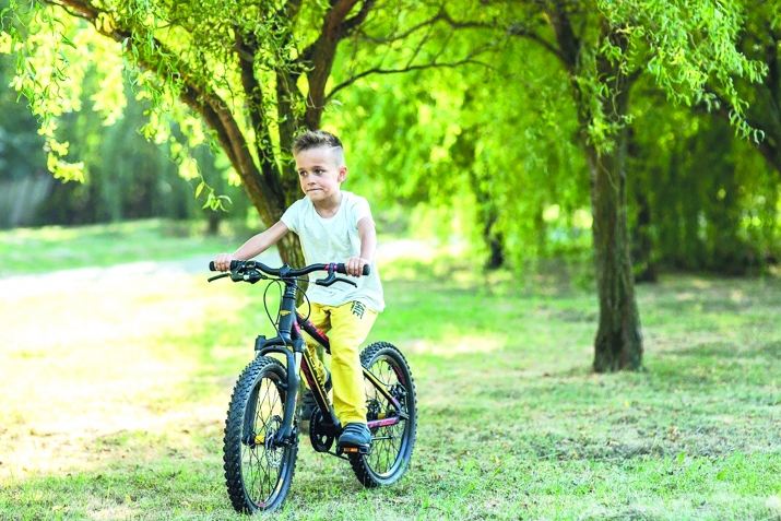 Сёз берив…