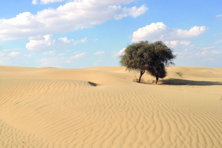 Ислам диненең тирә-яҡ мөхитте һаҡлауға ҡарашы